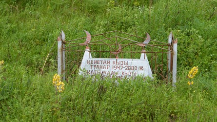 kir135