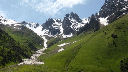 kir39